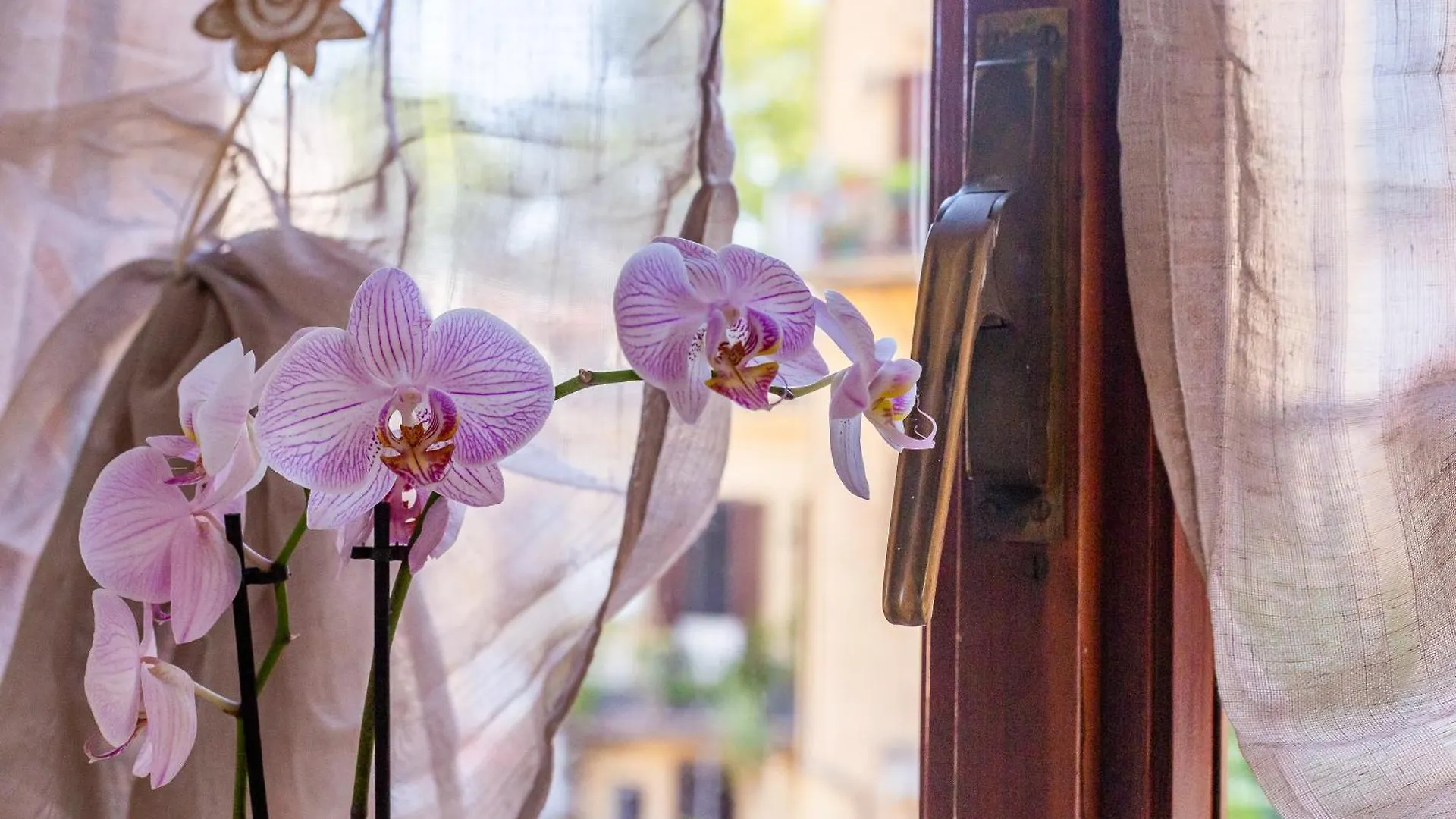 La Casa Di Elba Bed & Breakfast Roma İtalya